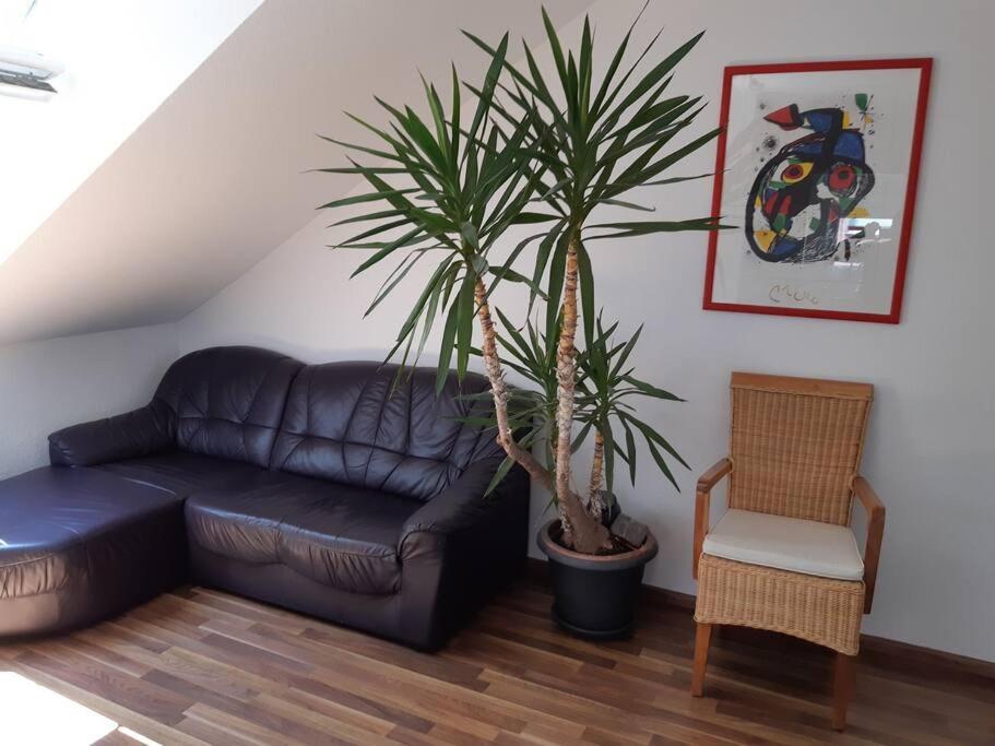 Tolle Wohnung In Zentraler Lage In Neu-Ulm Kültér fotó